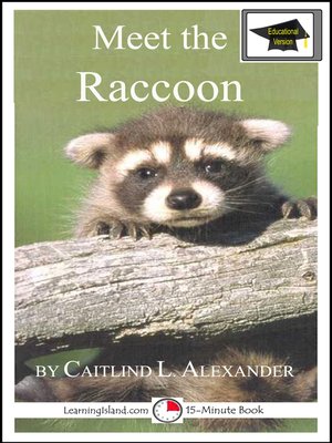 cover image of Meet the Raccoon